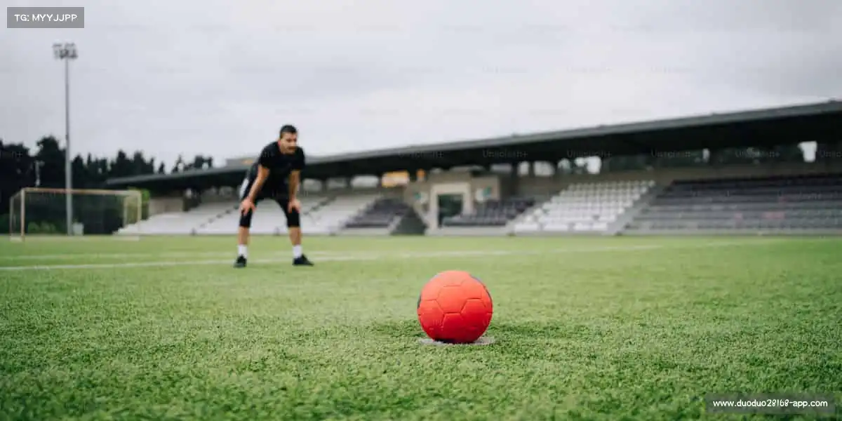 为什么选择我们